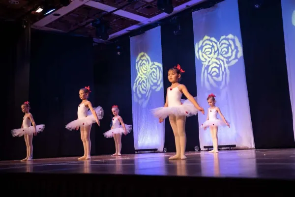 Tanzstudio Dance-Line Auftritt 11