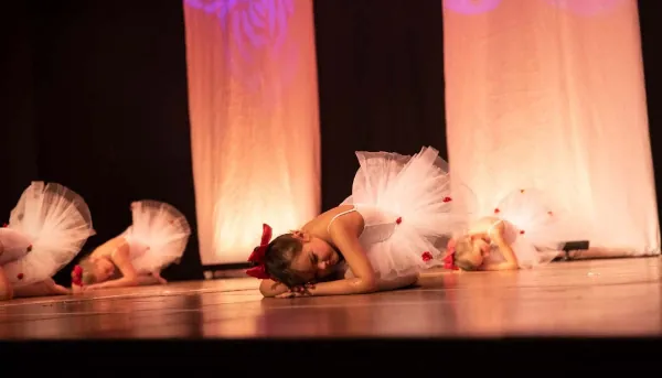 Tanzstudio Dance-Line Auftritt 12