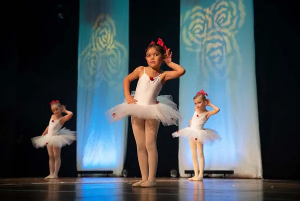 Tanzstudio Dance-Line Auftritt 13