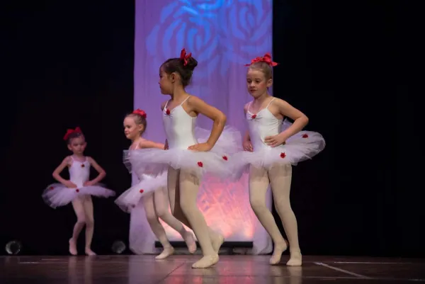Tanzstudio Dance-Line Auftritt 14