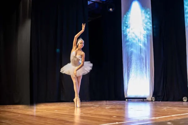 Tanzstudio Dance-Line Auftritt 22