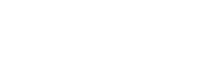 Danceline Friedberg Logo